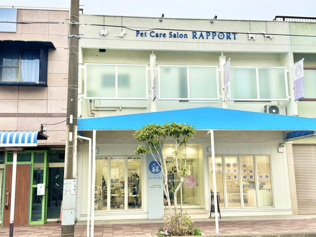 ラポール