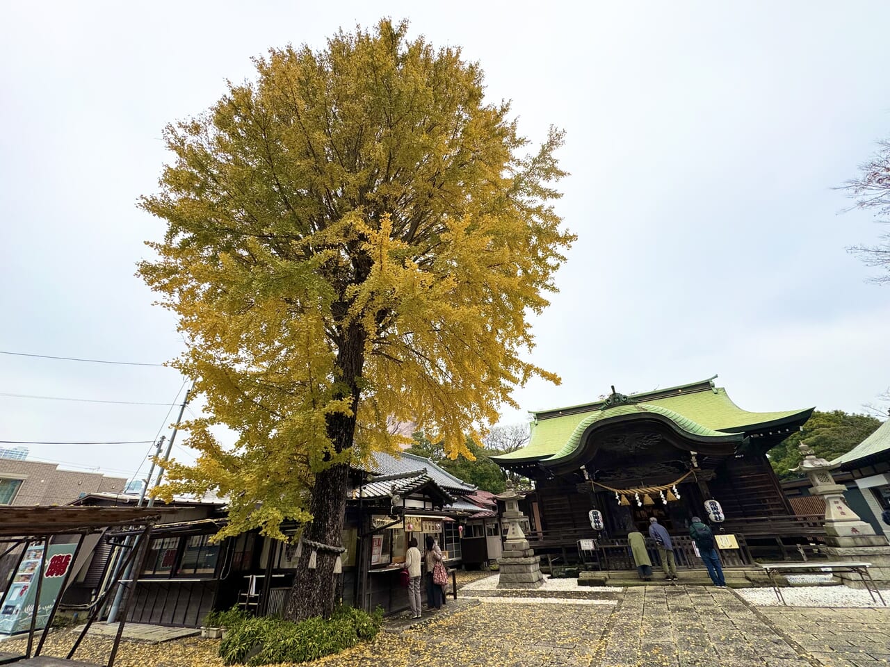 菊田神社