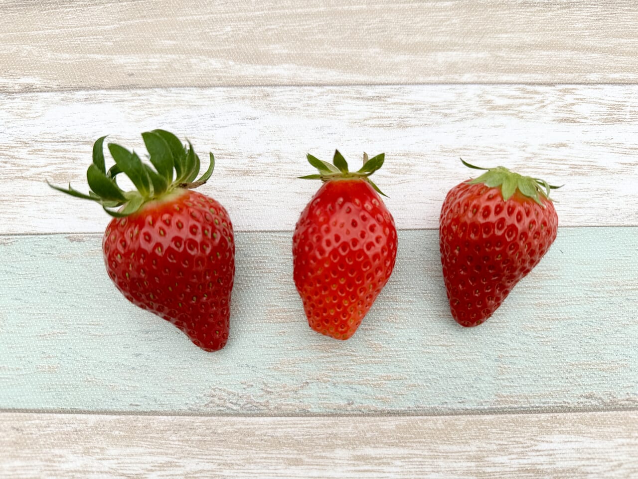 さくちゃんのいちご園