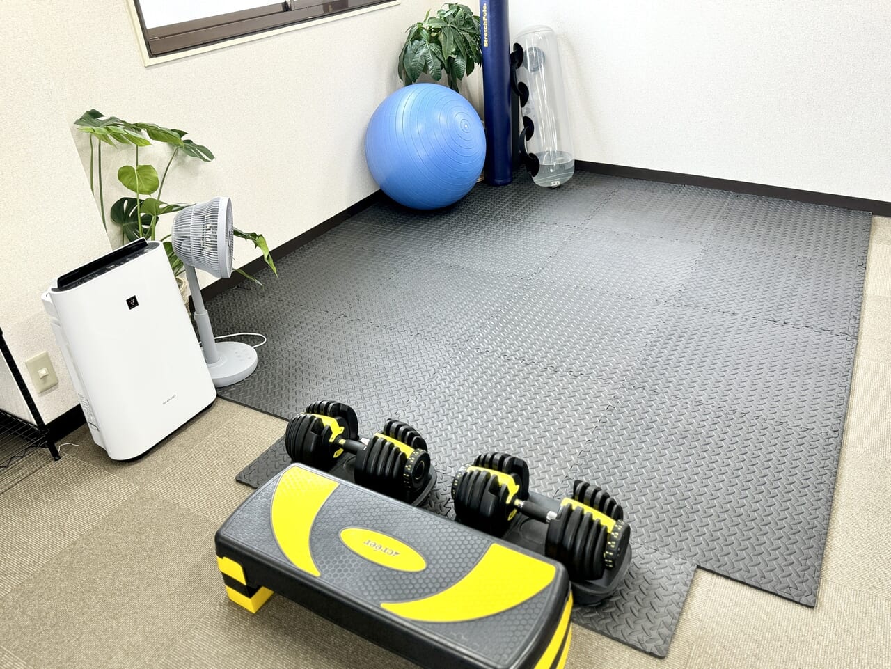 PersonalGymSHIELD