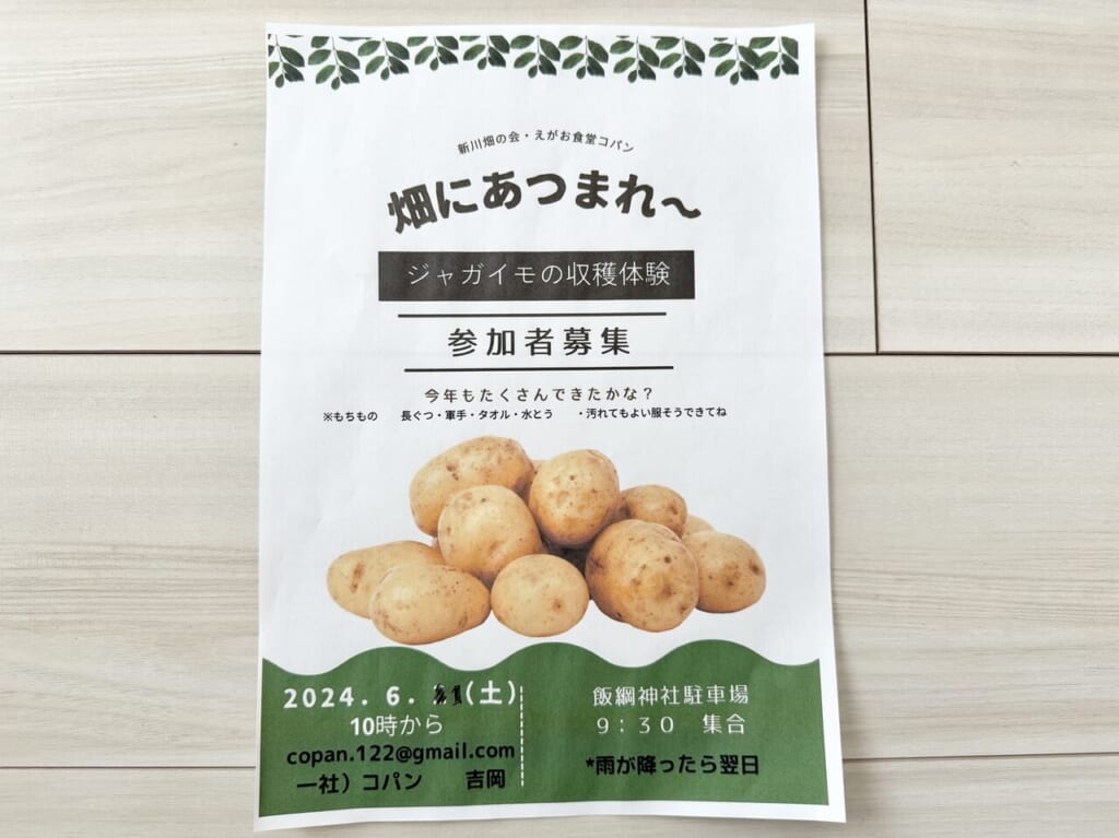 ジャガイモの収穫体験