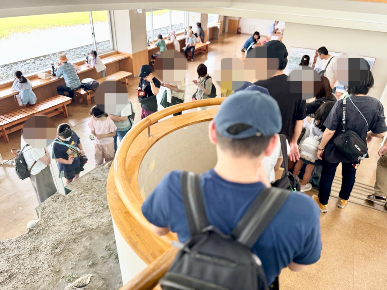 谷津干潟の日フェス2024
