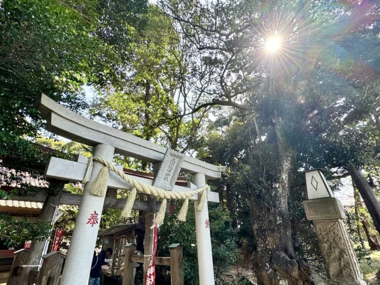 マブハイマルシェin高津比咩神社