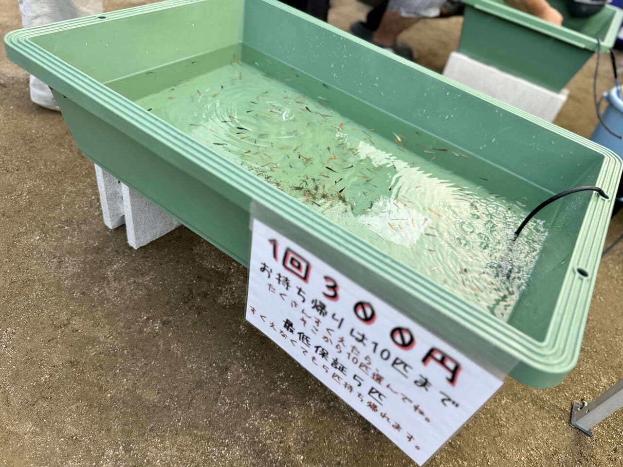 東習志野８丁目町会