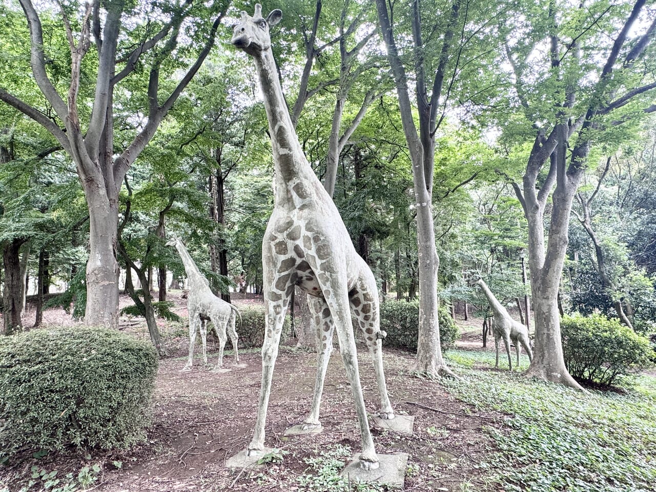 やちよ彼岸花まつり