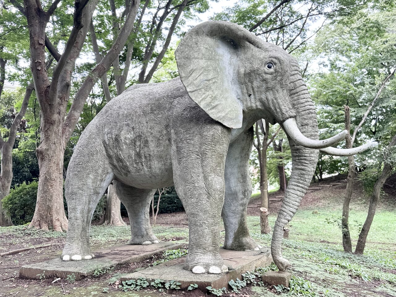 やちよ彼岸花まつり