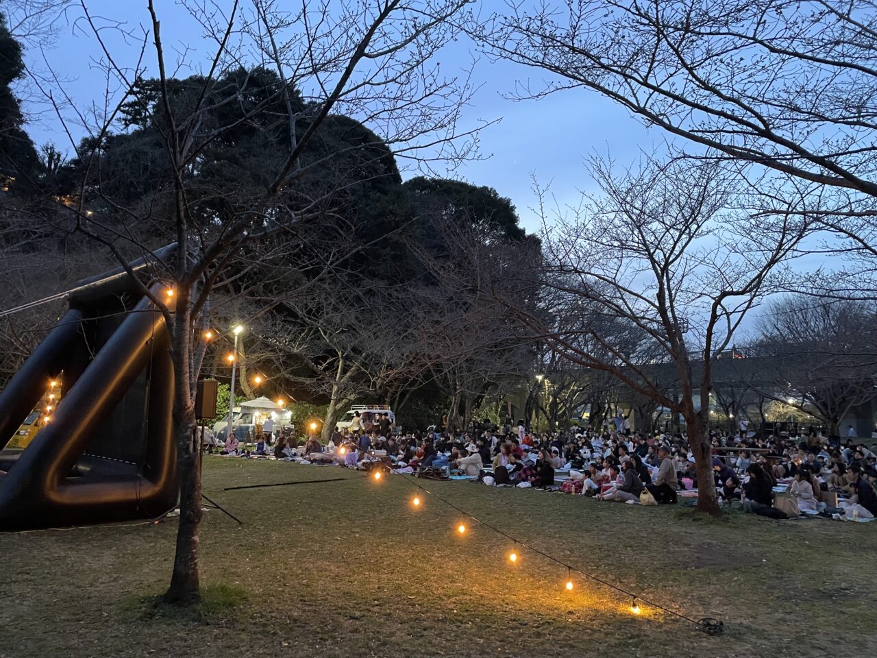 星空映画会