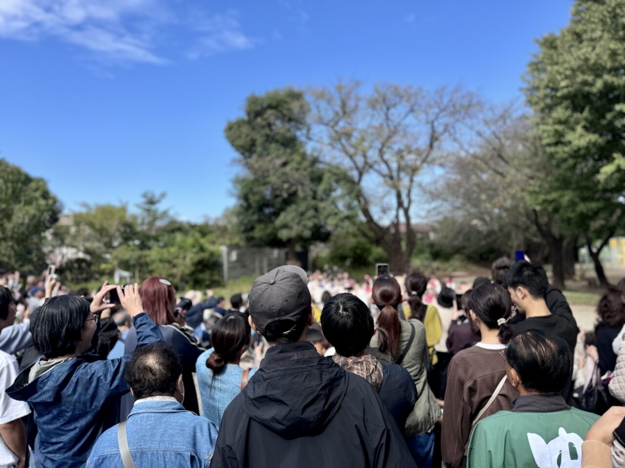 実花ふるさと祭り