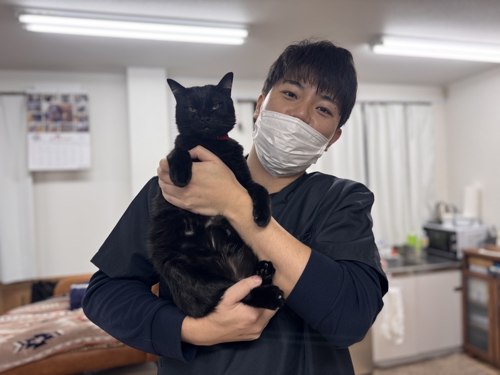 猫と暮らすBCM