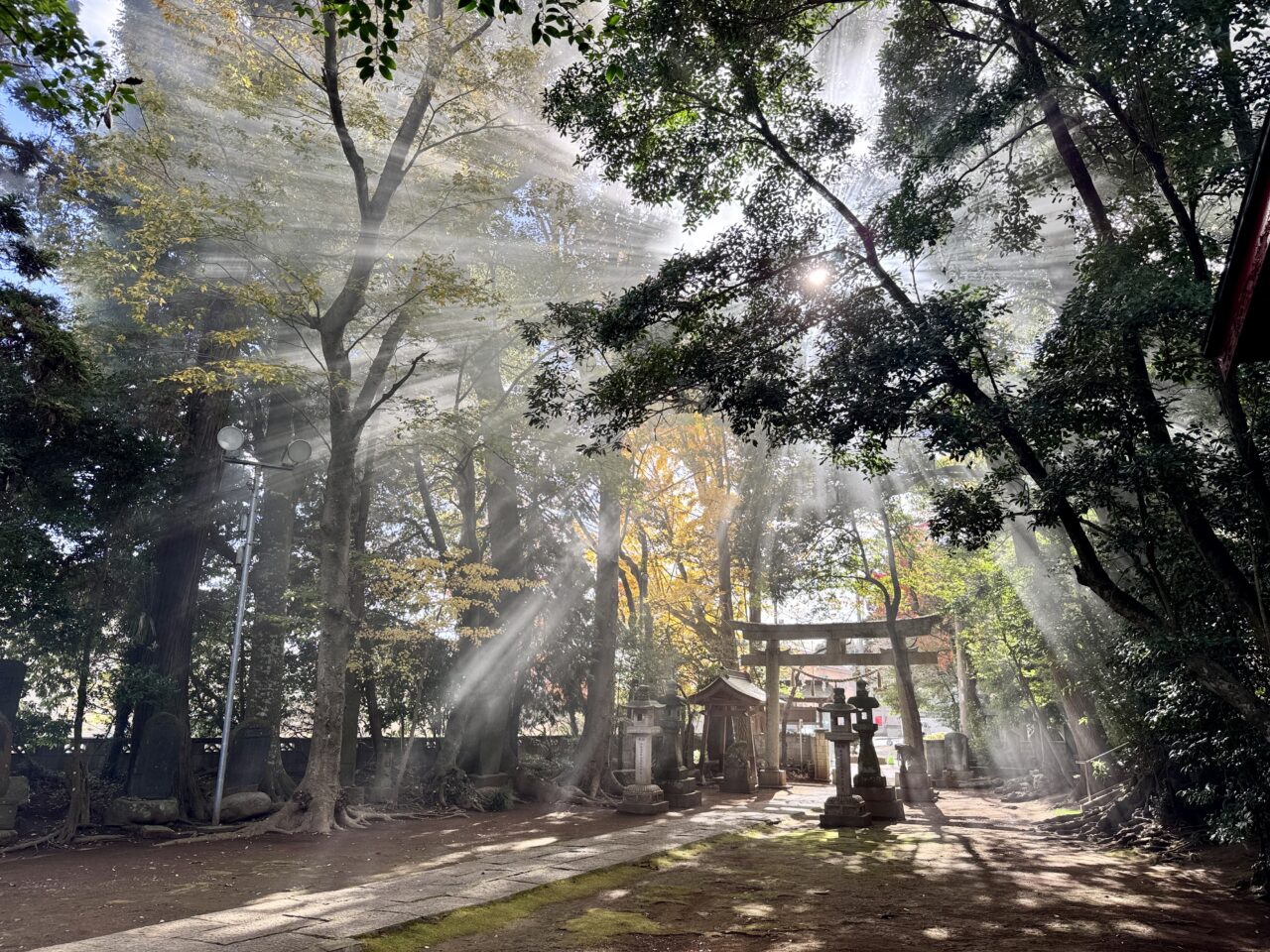 七百餘所神社