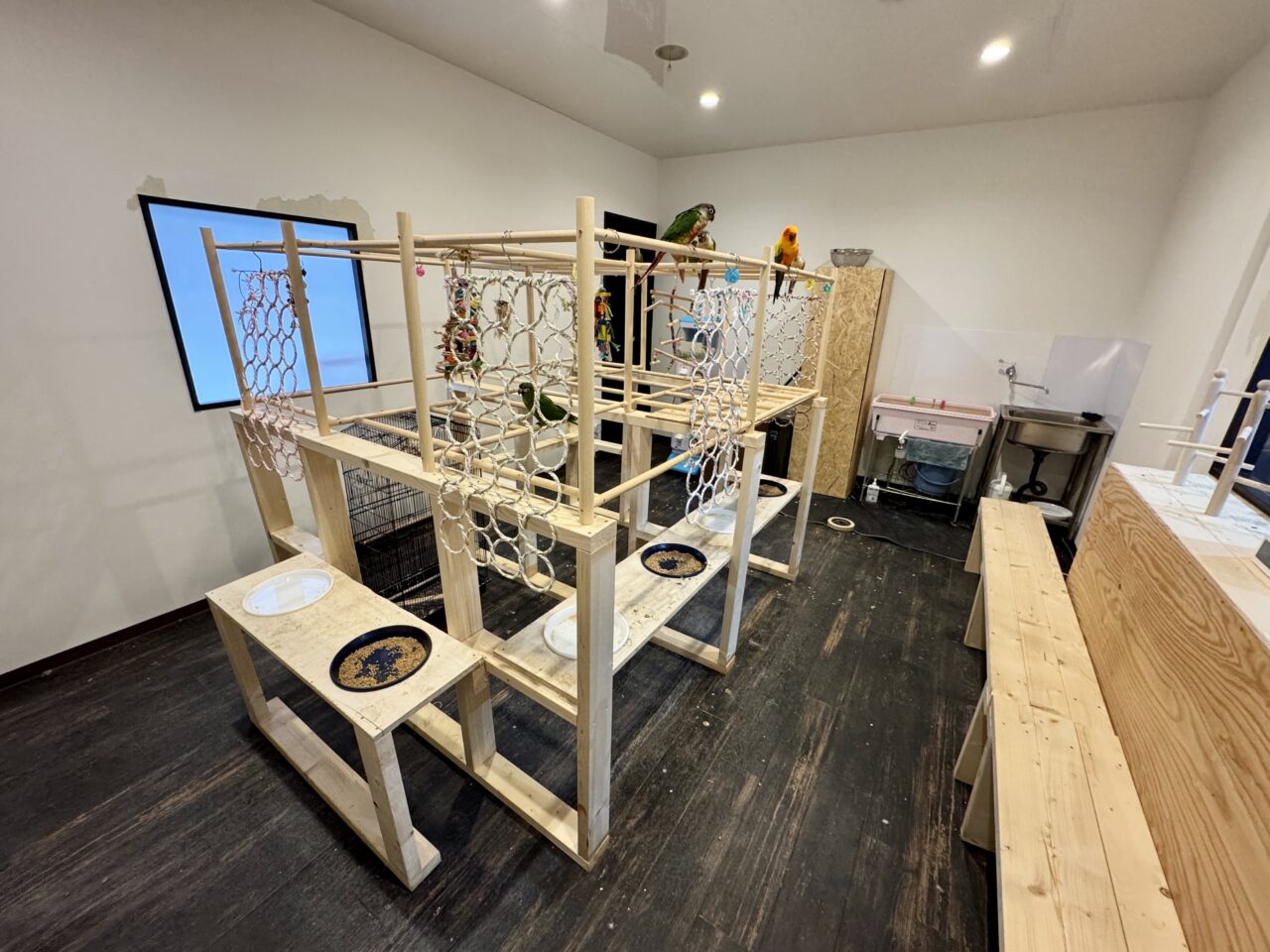 鳥好きの店かーきゅー