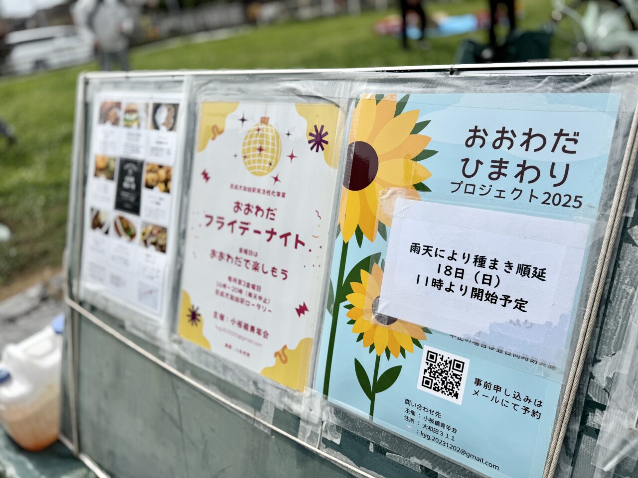 おおわだひまわりプロジェクト2025