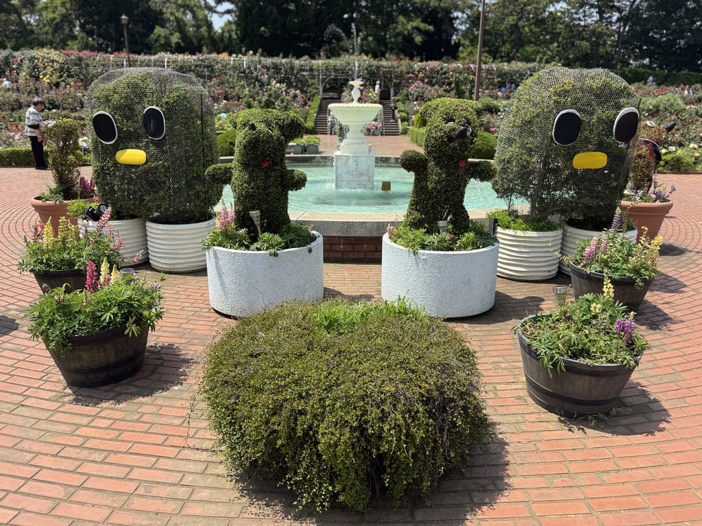 谷津バラ園