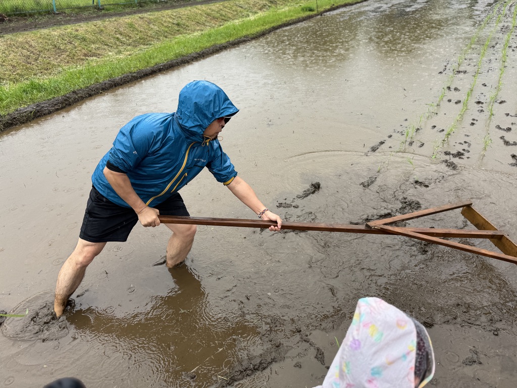 実籾郷の会田植え