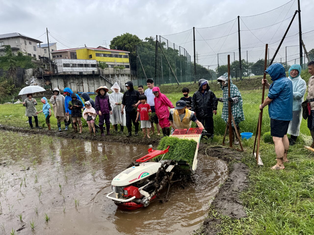 実籾郷の会田植え