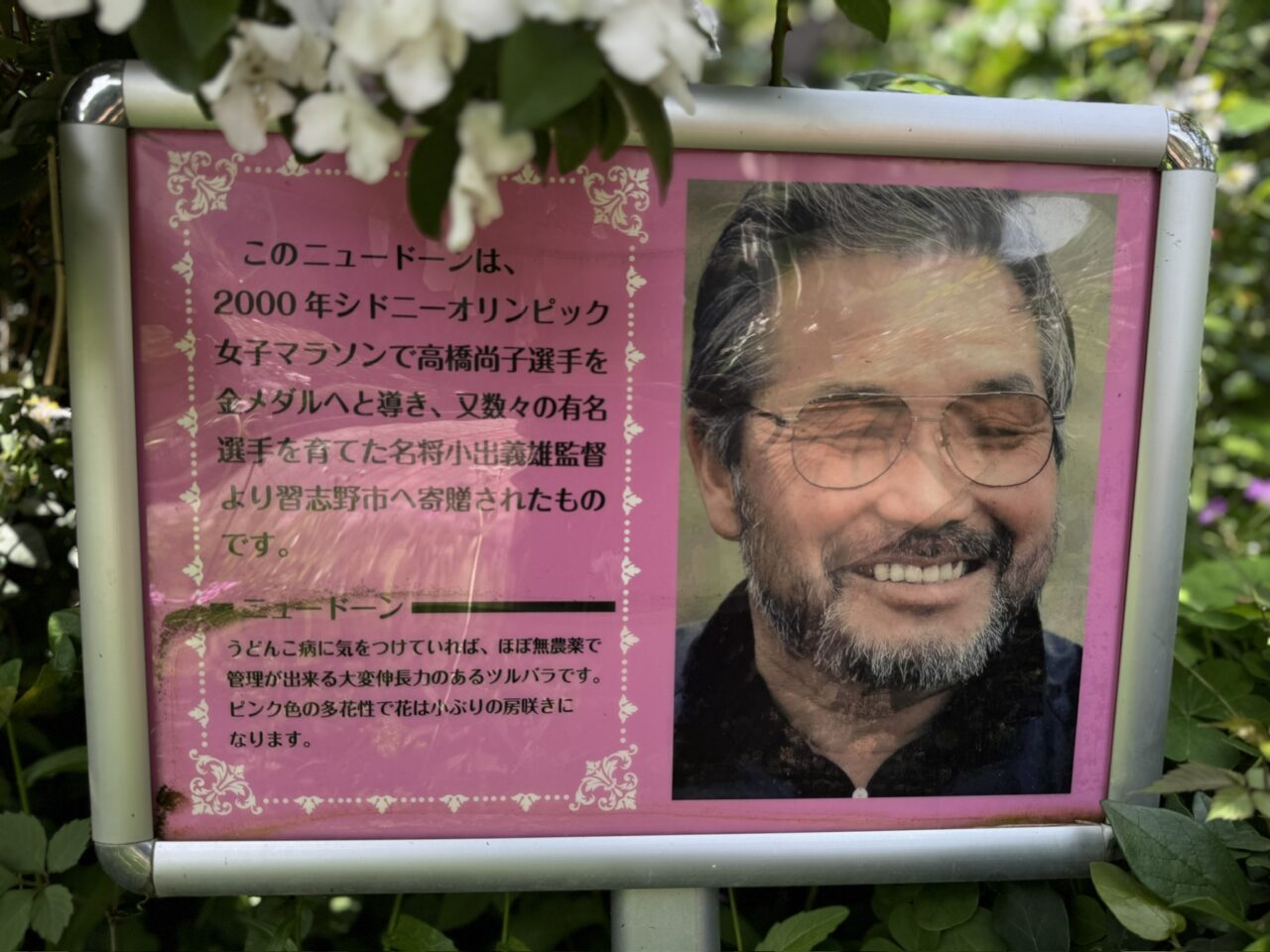 谷津バラ園