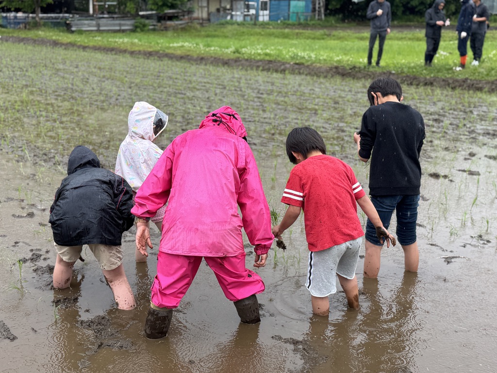 実籾郷の会田植え