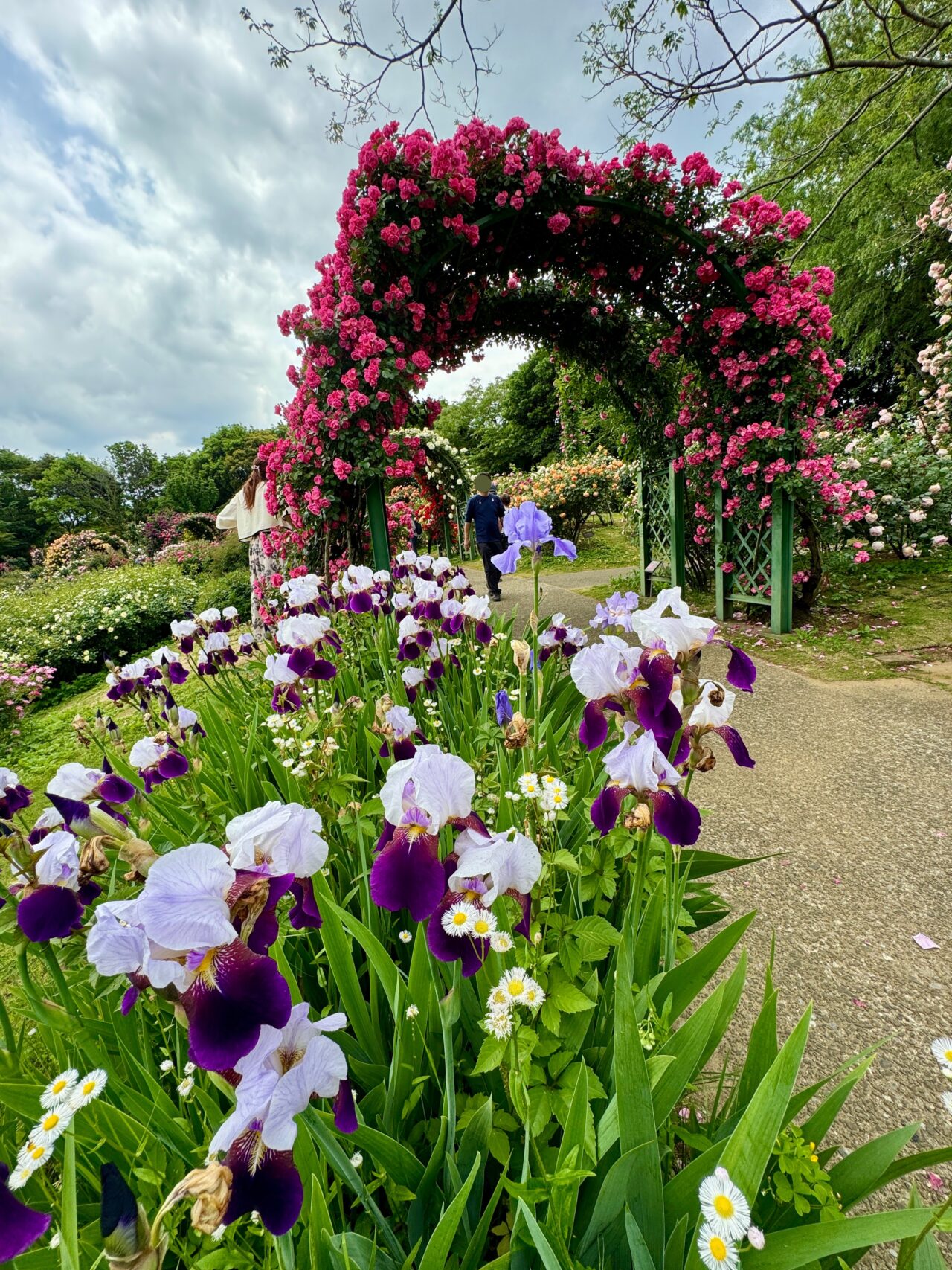 京成バラ園