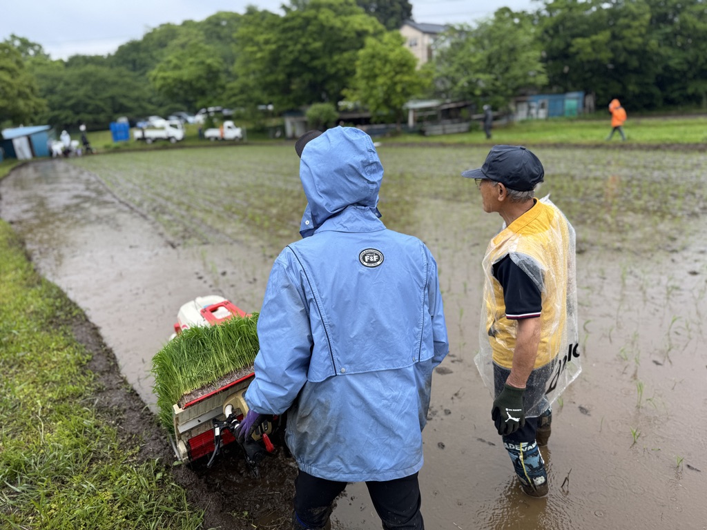 実籾郷の会田植え