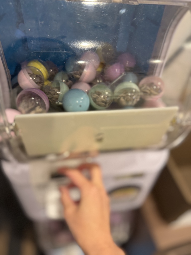 鳥好きの店かーきゅー