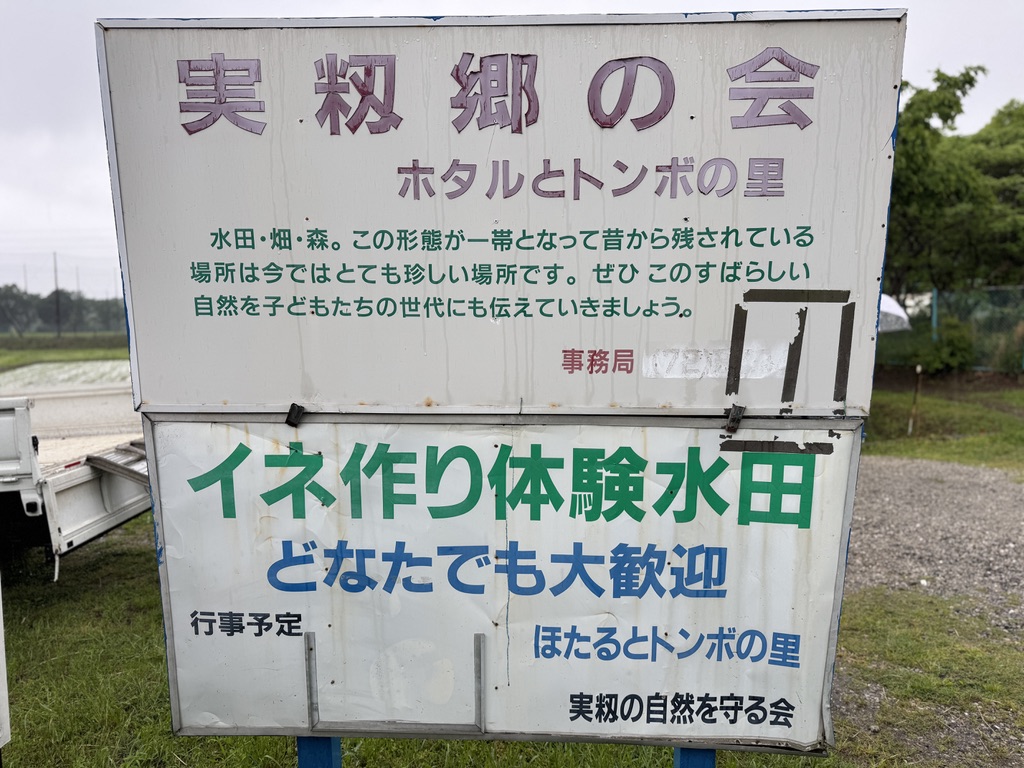 実籾郷の会田植え