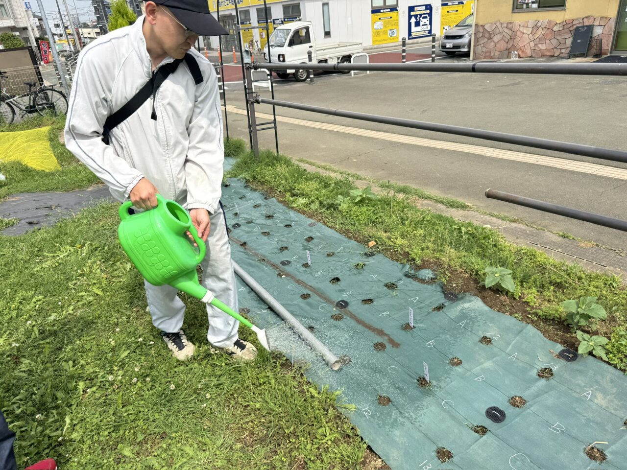 おおわだひまわりプロジェクト2025
