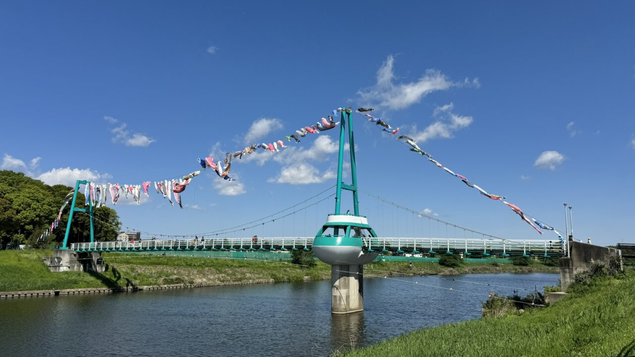 ゆらゆら橋鯉のぼり大遊泳2025