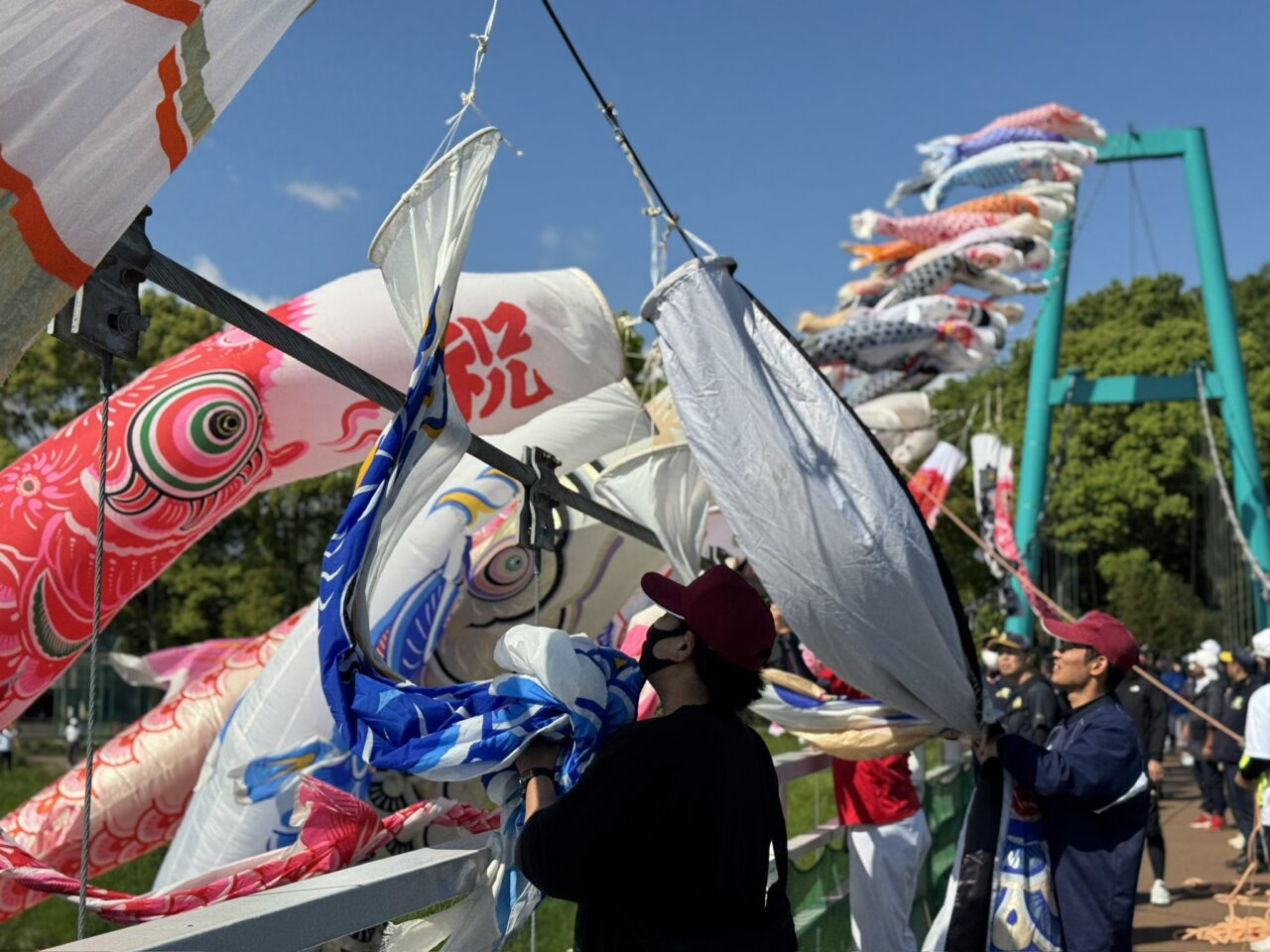 ゆらゆら橋鯉のぼり大遊泳2025
