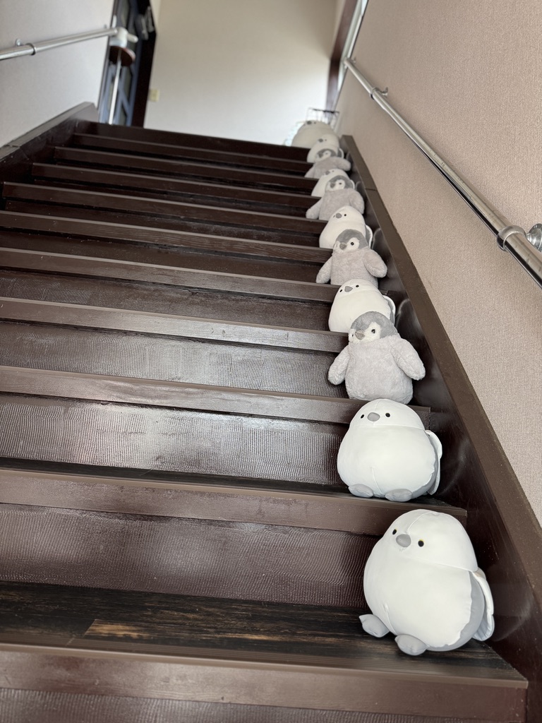 鳥好きの店かーきゅー