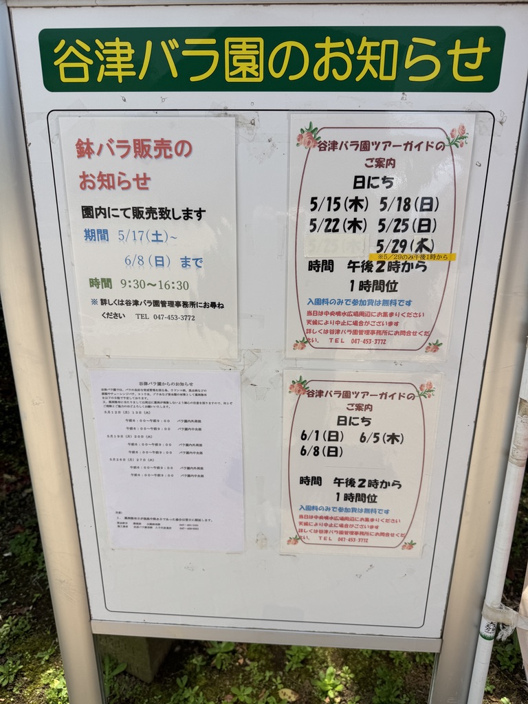 谷津バラ園