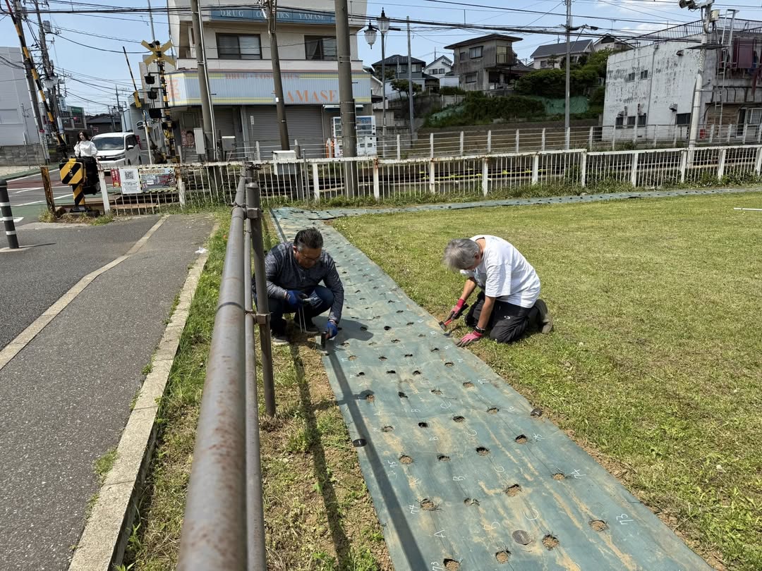おおわだひまわりプロジェクト2025