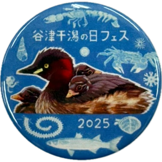 谷津干潟フェス!2025
