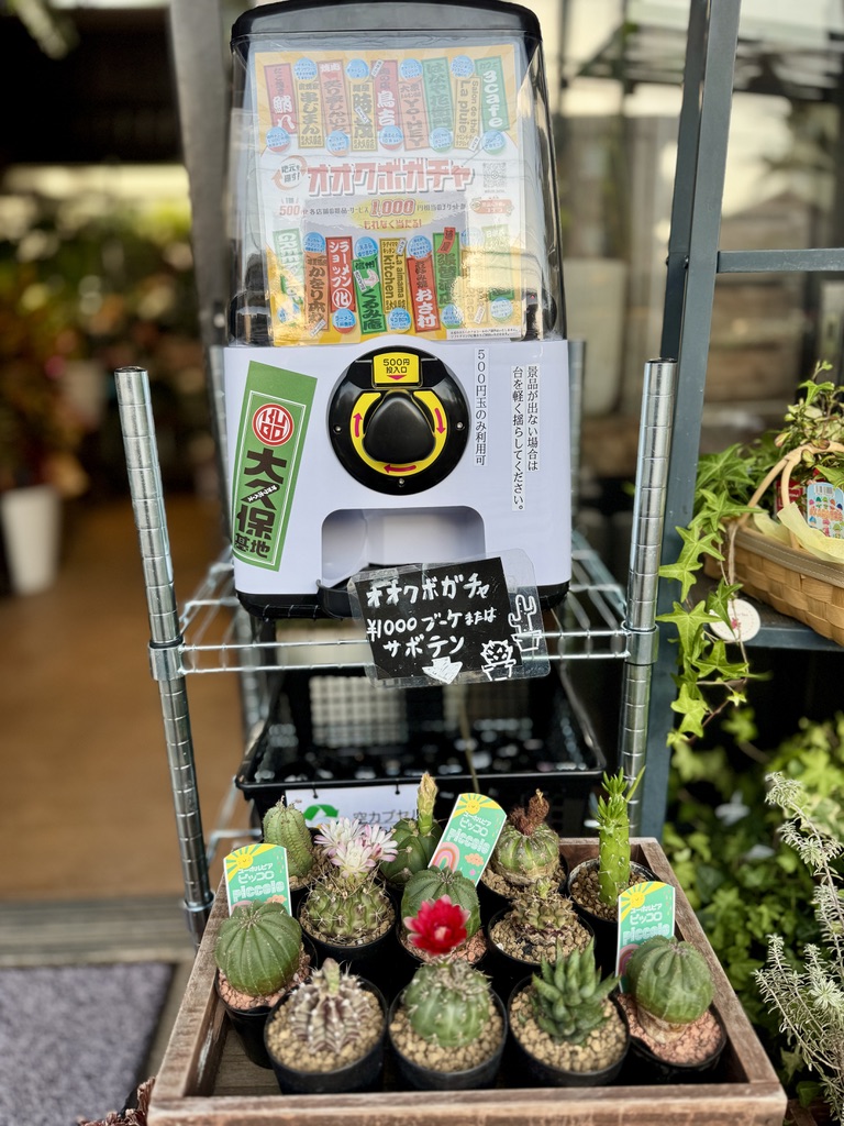 オオクボガチャ
