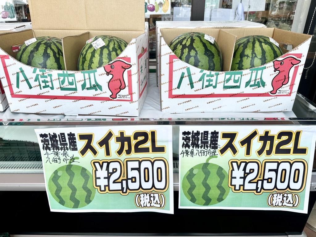 よったいよとうもろこし祭り2024
