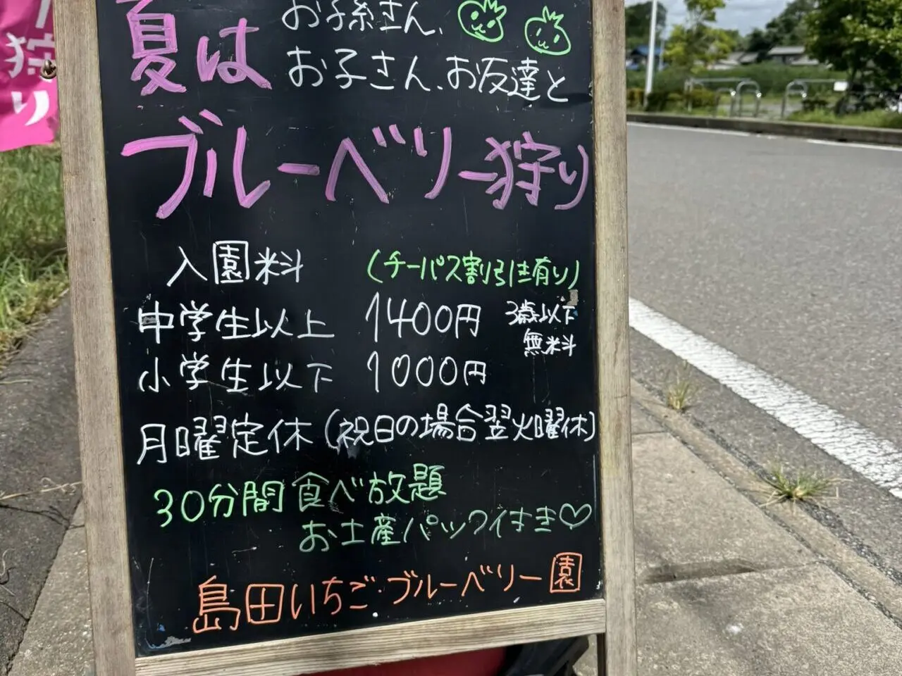 島田ブルーベリー園ブルーベリー狩り