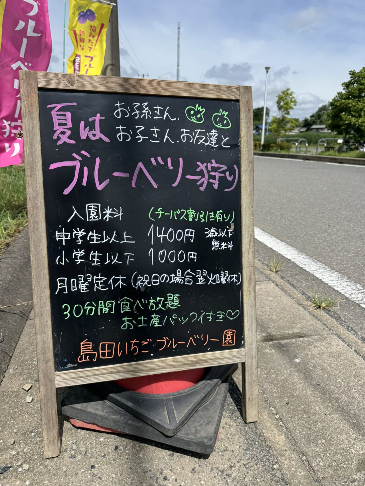 島田ブルーベリー園ブルーベリー狩り