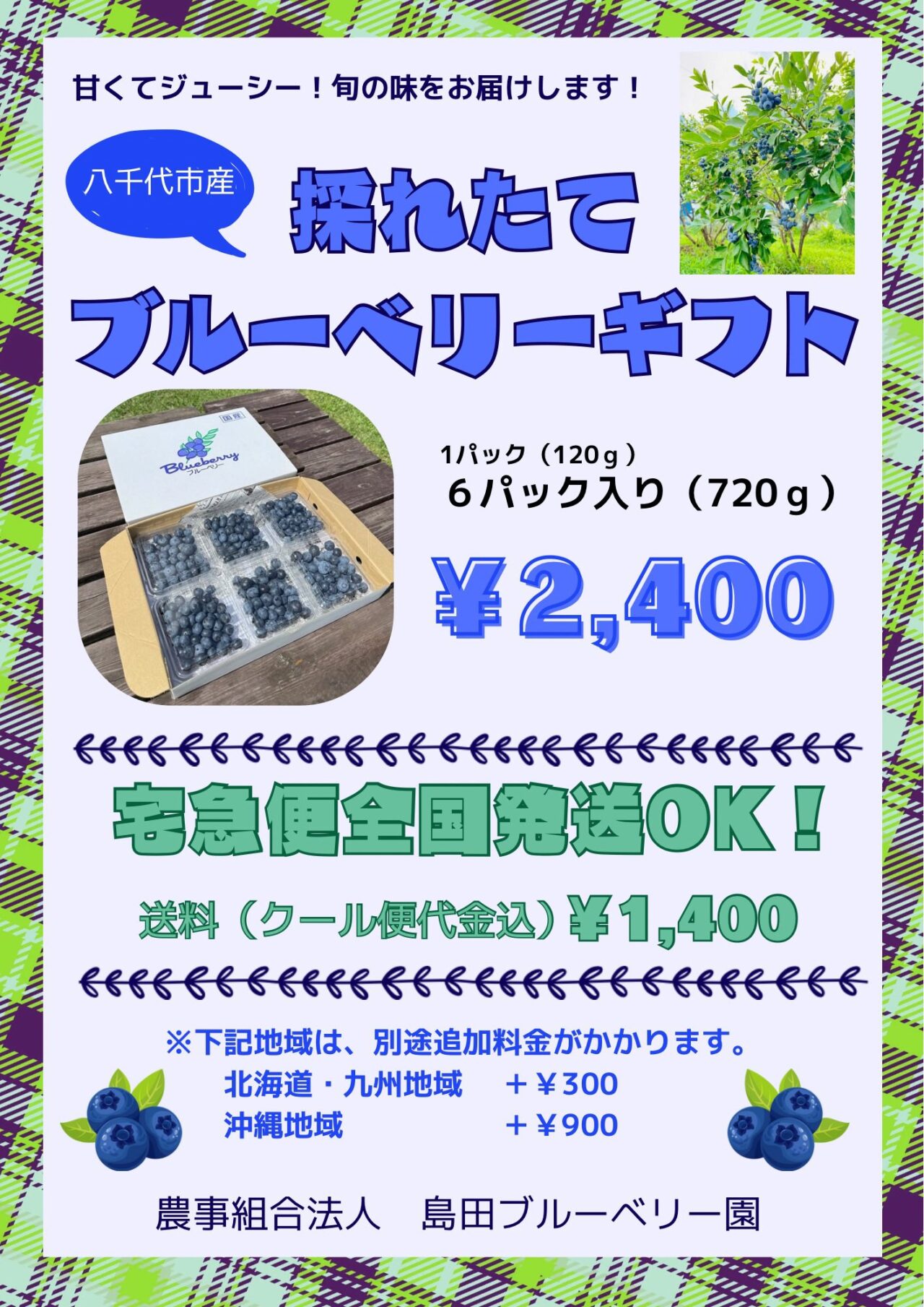 島田ブルーベリー園ブルーベリー狩り
