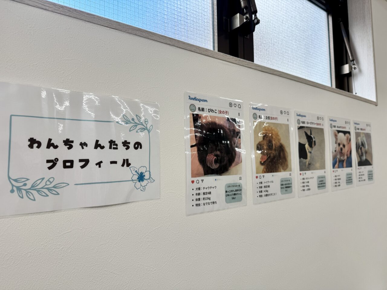 アネラカフェ