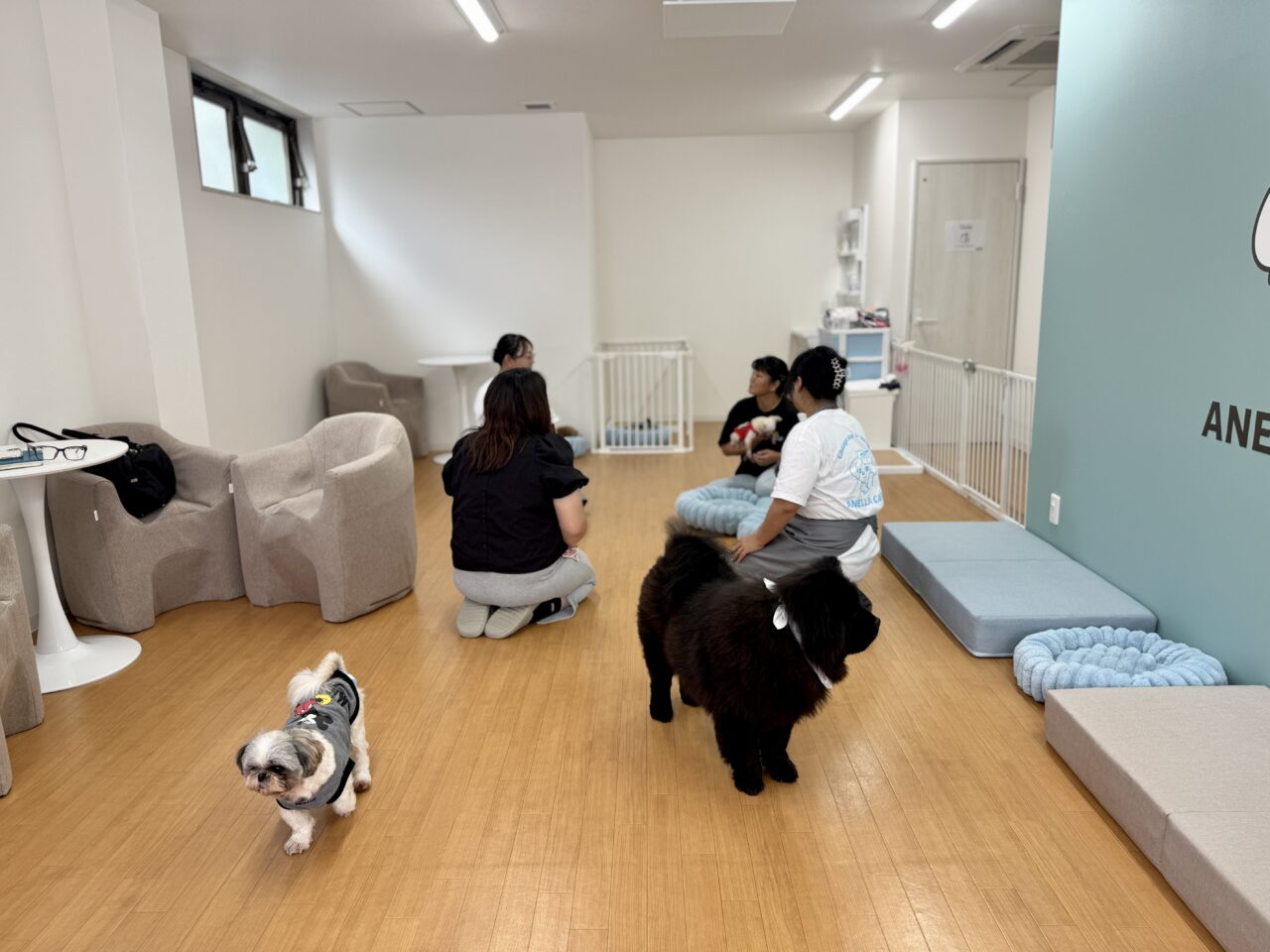アネラカフェ