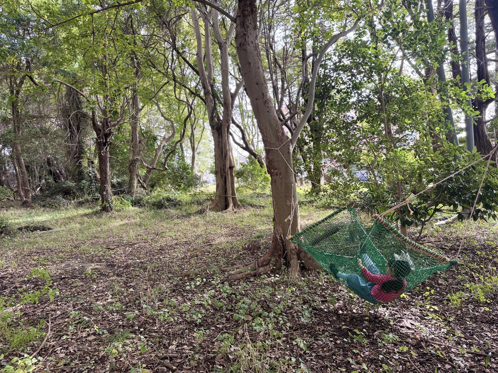 ならしののもり森の開放日