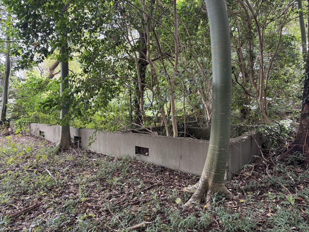 ならしののもり森の開放日