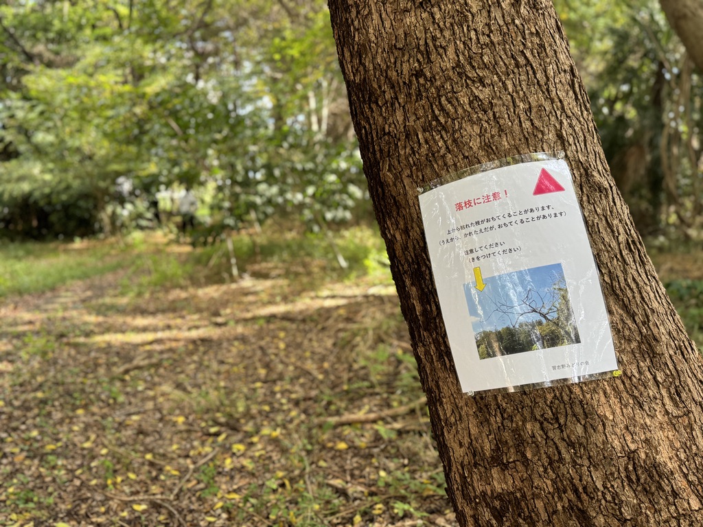 ならしののもり森の開放日