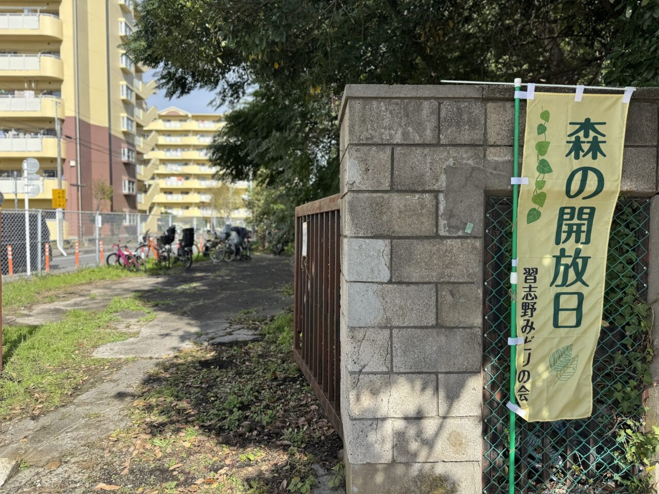 ならしののもり森の開放日