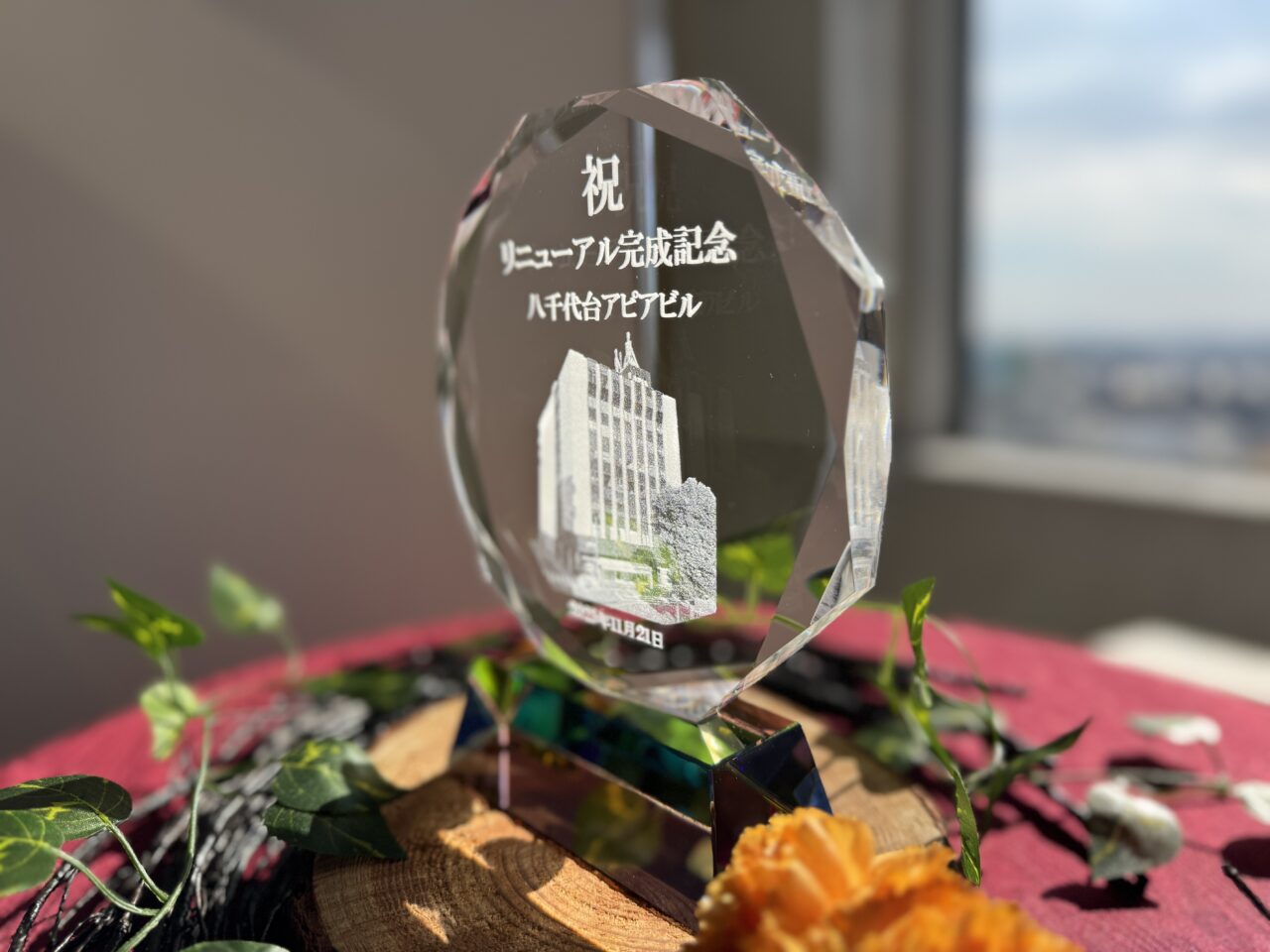 「APIA」リニューアル