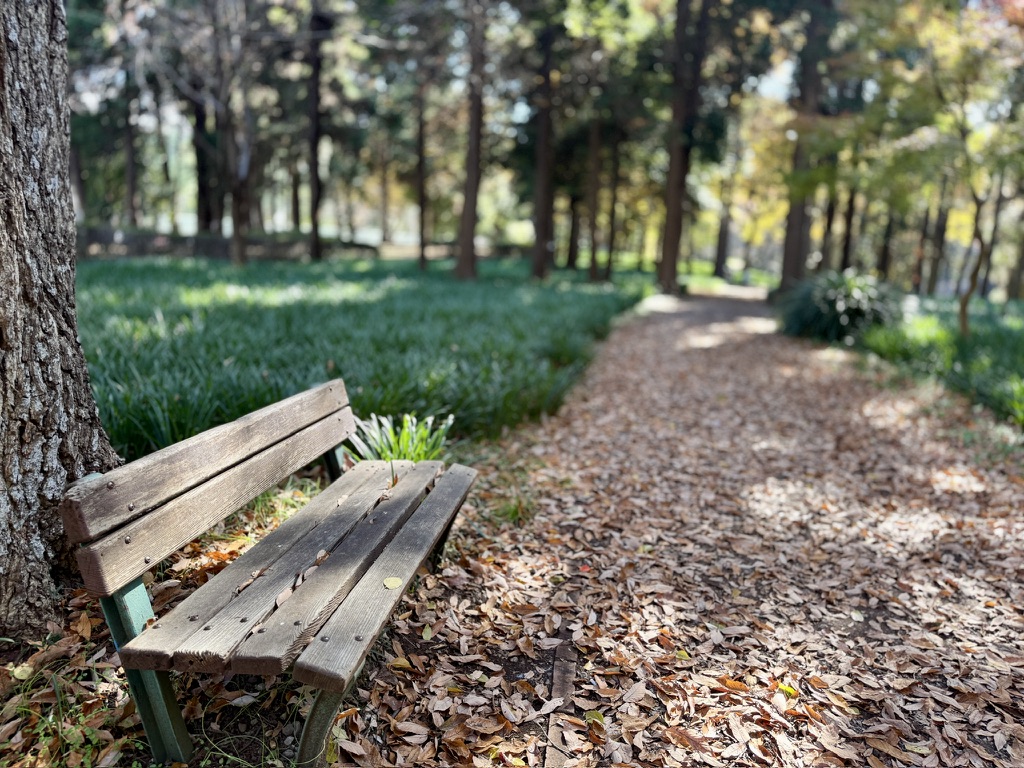 八千代市村上緑地公園