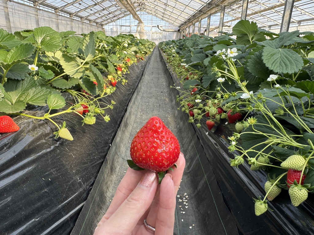 やちよ農業交流センター