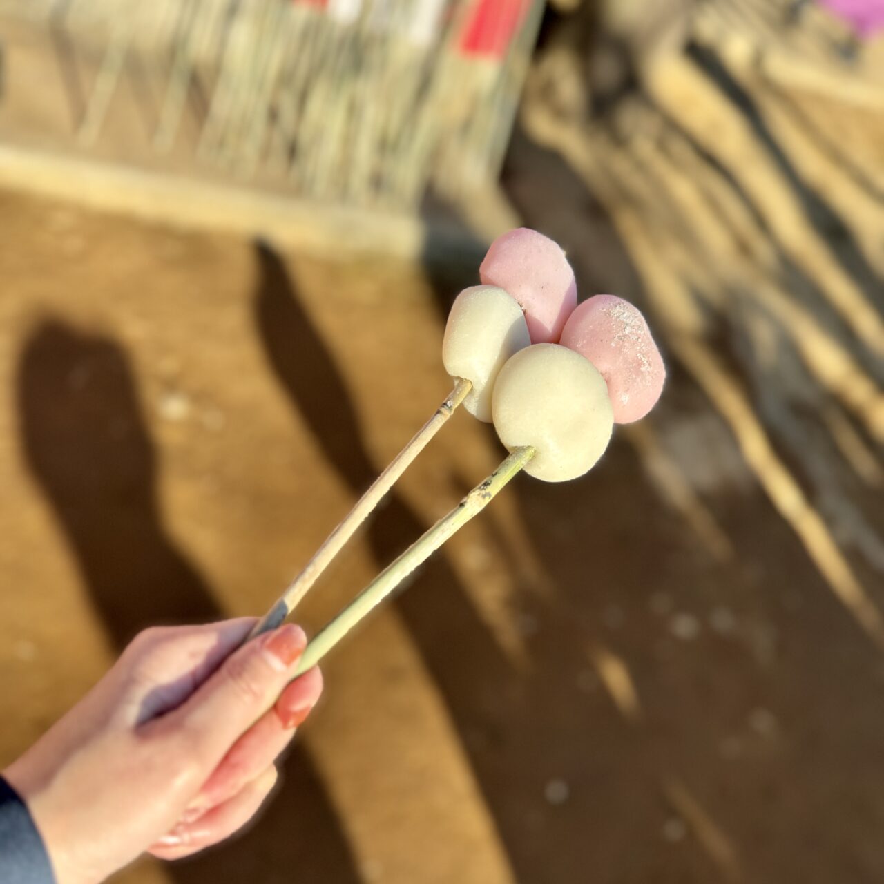 小板橋時平神社どんと焼き