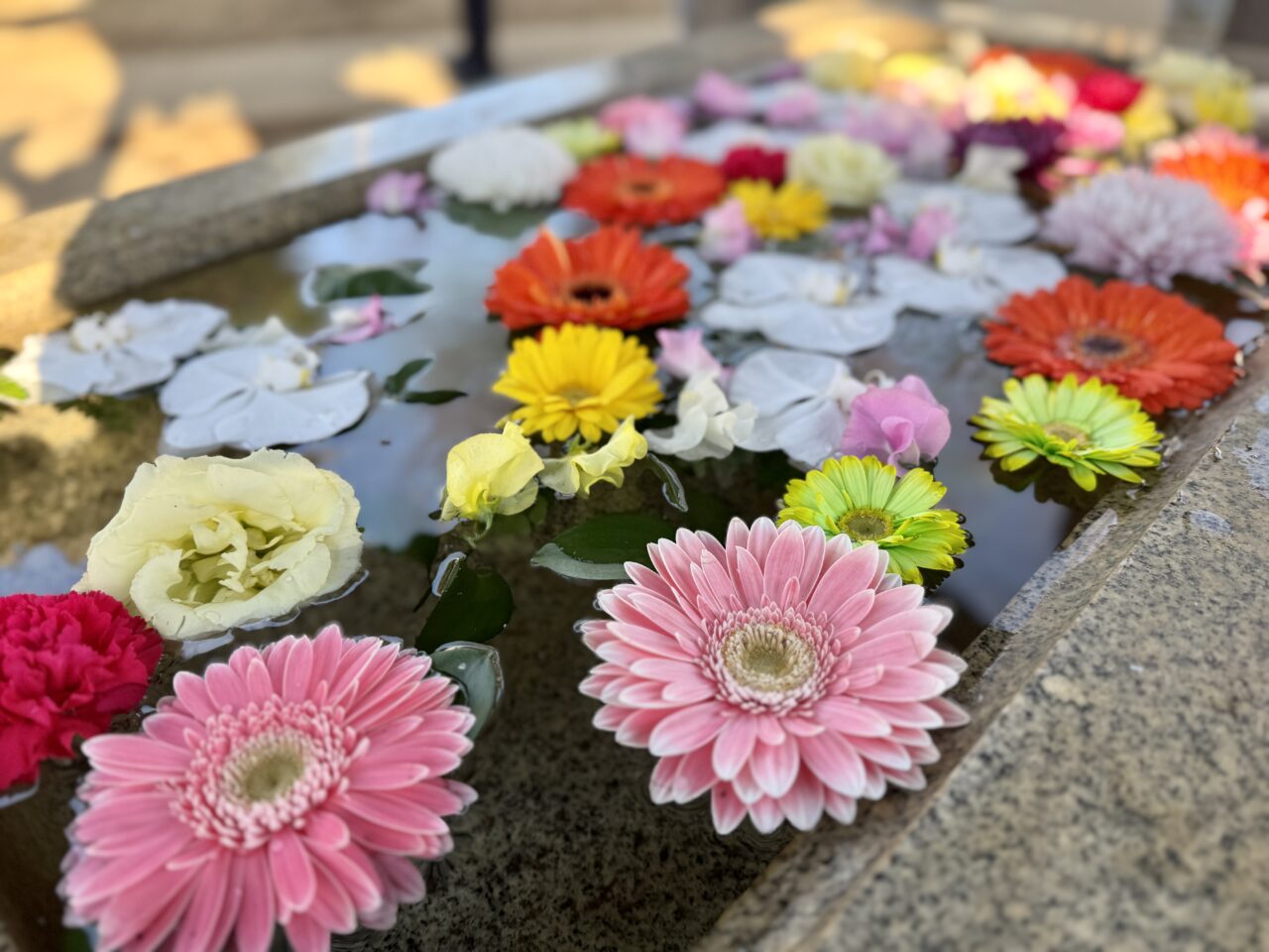 小板橋時平神社どんと焼き