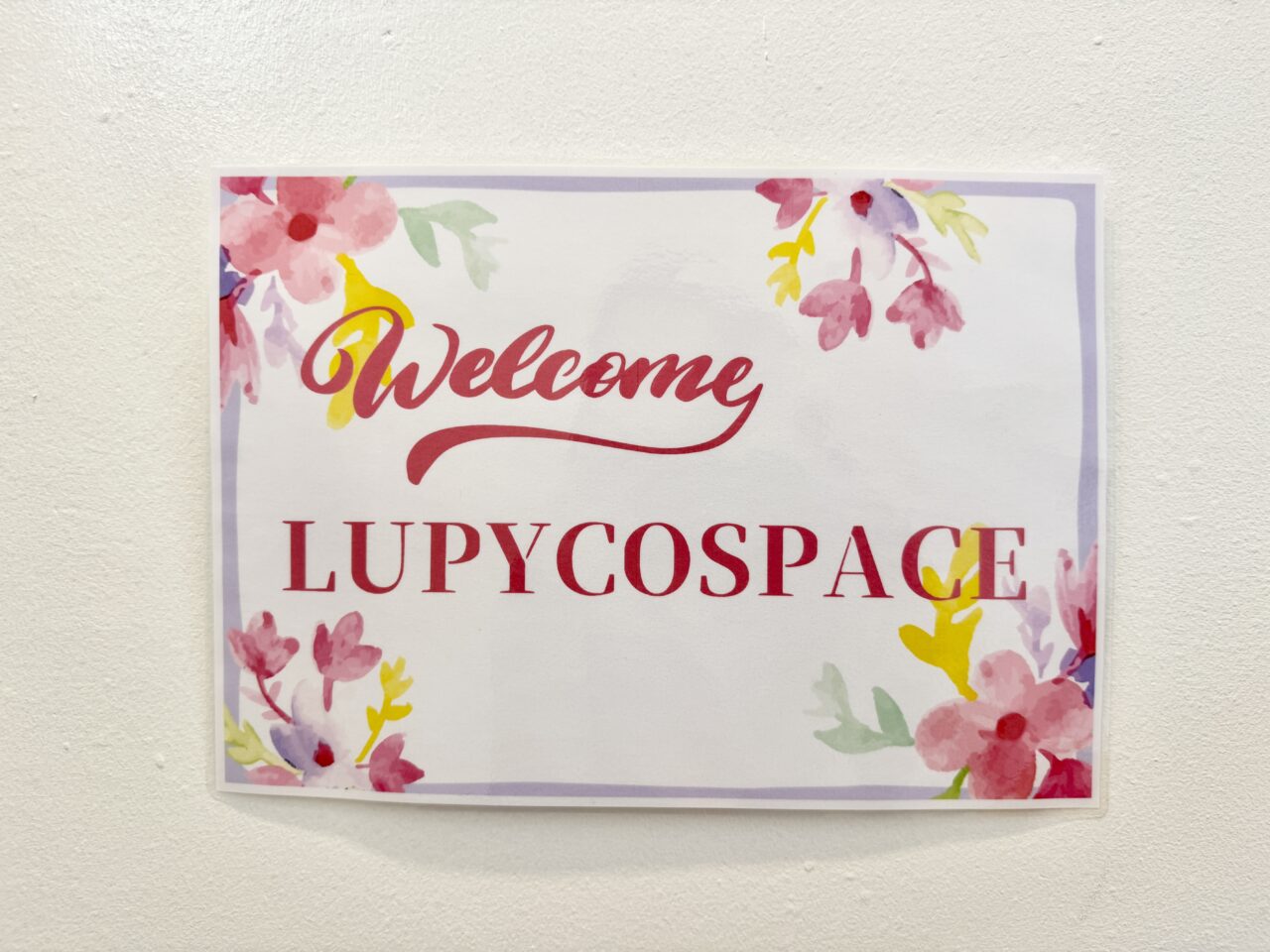 LUPYCO SPACE（ラピコ・スペース）