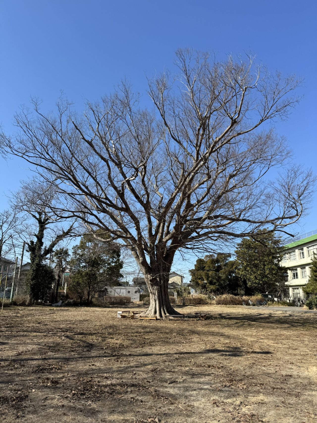 君とあそフェス